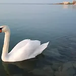 Διαμέρισμα Sweet&center Wellness Σίοφοκ